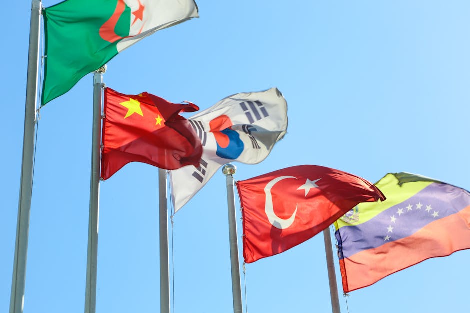 Çin'den Türkiye'ye Nakliye Rehberi - Çin'den Türkiye'ye Nakliye Rehberi: Adım Adım Sorunsuz İthalat